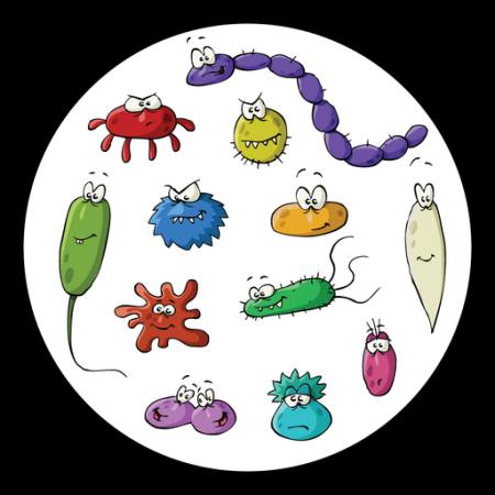 έντομα, μικροσκόπιο, λάσπη, ο ιός Dedmazay - Dreamstime