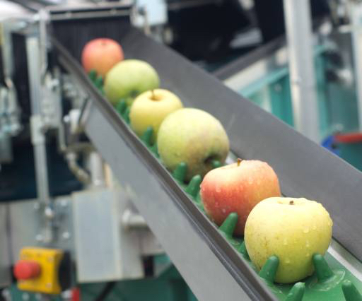 μήλα, τα τρόφιμα, μηχανή, εργοστάσιο Jevtic