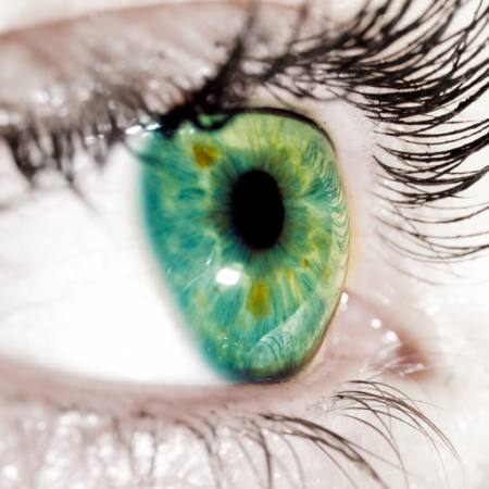 πράσινο, τα βλέφαρα, τα μάτια Goran Turina - Dreamstime
