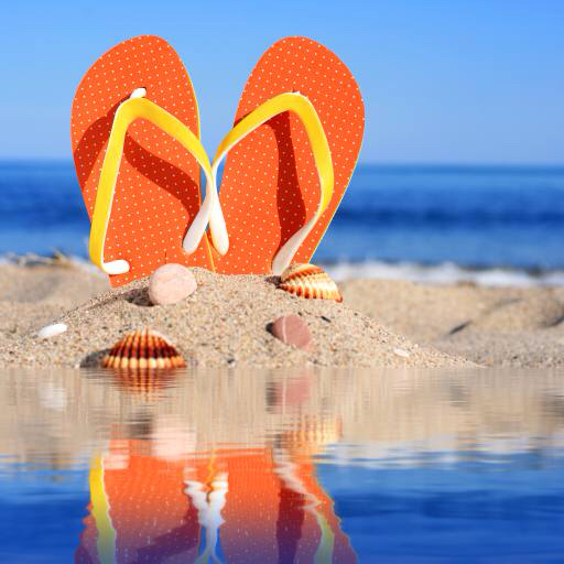 σανδάλια, παπούτσι, παπούτσια, παραλία, κοχύλι, κοχύλια, το νερό, την άμμο Fantasista