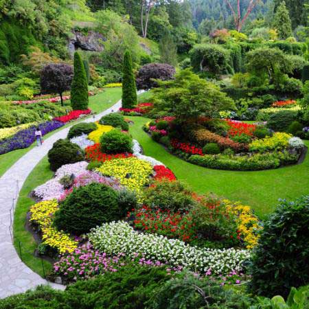 κήπου, λουλούδια, χρώματα, πράσινο Photo168 - Dreamstime