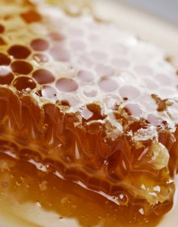 των μελισσών, οι μέλισσες, το μέλι Liv Friis-larsen - Dreamstime