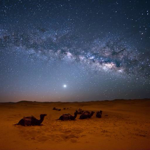 του ουρανού, τη νύχτα, , ερήμου, καμήλες, τα αστέρια, το φεγγάρι Valentin Armianu (Asterixvs)