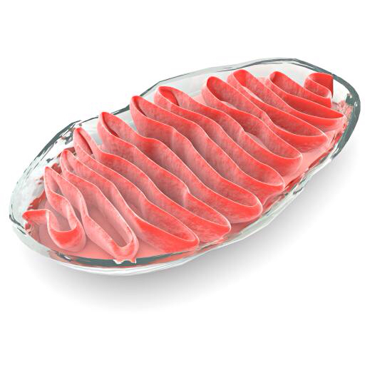 κυτταρικές, κυτταρικές, το κόκκινο, το κρέας, Γκέλυ, βακτήρια Vampy1