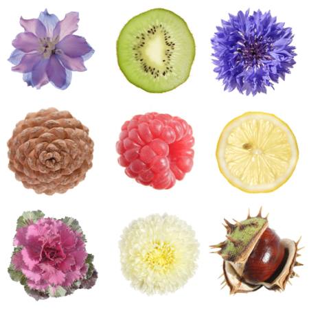 τα φρούτα, στρογγυλό, λεμόνι, ακτινίδιο, βατόμουρο, μύρτιλλο Tamara Kulikova - Dreamstime