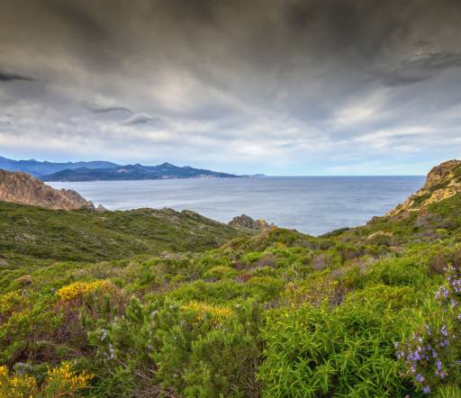 η φύση, το τοπίο, θάλασσα, ωκεανός, πράσινο, ουρανός, καταιγίδα Jon Ingall (Joningall)