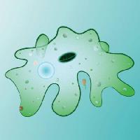Pixwords η εικόνα με κύτταρο, κυτταρική, πράσινο, λάσπη, μουτζούρα Designua - Dreamstime