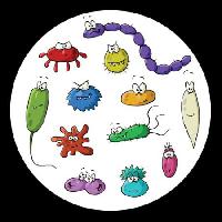 Pixwords η εικόνα με έντομα, μικροσκόπιο, λάσπη, ο ιός Dedmazay - Dreamstime