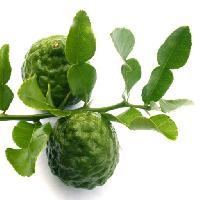 Pixwords η εικόνα με των φυτών, φρούτα, πράσινο, υποκατάστημα, φύλλα, φύλλο Surut Wattanamaetee (Studio2013)