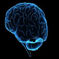 Pixwords η εικόνα με το κεφάλι, ο άνθρωπος, γυναίκα, νομίζω, οι εγκέφαλοί Sebastian Kaulitzki - Dreamstime