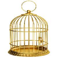 Pixwords η εικόνα με πουλί, κλουβί, χρυσό, κλειδαριά Ayvan - Dreamstime