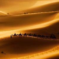 Pixwords η εικόνα με άμμος, έρημος, καμήλες, φύση Rcaucino