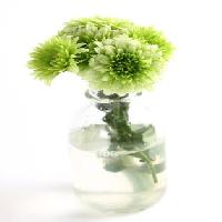 Pixwords η εικόνα με φυτό, λουλούδι, πράσινο, νερό, σωλήνας, βάζο Kerstin Aust - Dreamstime