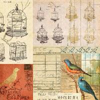 κλουβί, πουλί, πουλιά, σχέδιο Jodielee