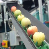 Pixwords η εικόνα με μήλα, τα τρόφιμα, μηχανή, εργοστάσιο Jevtic