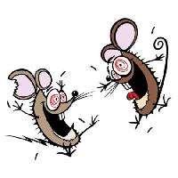 Pixwords η εικόνα με ποντίκι, ποντίκια, παράφρων, ευτυχισμένος, δύο Donald Purcell - Dreamstime