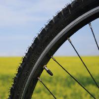 ποδήλατο, τροχός, πράσινο, γρασίδι, πεδίο, τη φύση Leonidtit