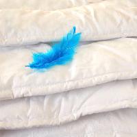 φτερό, μπλε, μαξιλάρια Julija Sapic (Yulia)