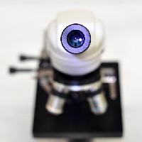 κάμερα, φακός, μικροσκόπιο catiamadio
