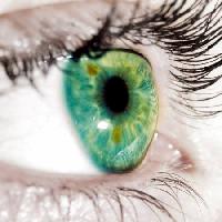 Pixwords η εικόνα με πράσινο, τα βλέφαρα, τα μάτια Goran Turina - Dreamstime