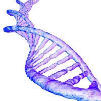 ADN, γονίδιο, το ανθρώπινο αίμα, μωβ Sebastian Kaulitzki - Dreamstime