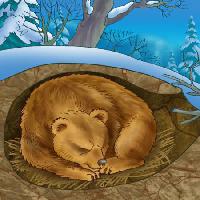 Pixwords η εικόνα με αρκούδα, το χειμώνα, τον ύπνο, το κρύο, τη φύση Alexander Kukushkin - Dreamstime