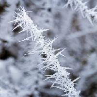 Pixwords η εικόνα με παγετός, ο πάγος, το χειμώνα, ακίδα Haraldmuc - Dreamstime