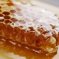 Pixwords η εικόνα με των μελισσών, οι μέλισσες, το μέλι Liv Friis-larsen - Dreamstime