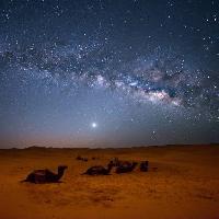 Pixwords η εικόνα με του ουρανού, τη νύχτα, , ερήμου, καμήλες, τα αστέρια, το φεγγάρι Valentin Armianu (Asterixvs)