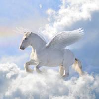 Pixwords η εικόνα με άλογο, σύννεφα, μύγα, φτερά Viktoria Makarova - Dreamstime