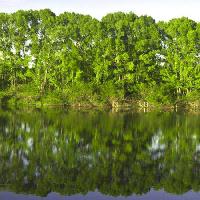 Pixwords η εικόνα με δέντρο, δέντρα, νερό, πράσινο, λίμνη Vadim Yerofeyev - Dreamstime