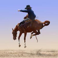 Pixwords η εικόνα με άλογο, ο άνθρωπος, Margojh - Dreamstime