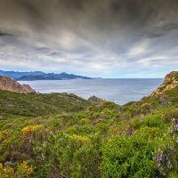 Pixwords η εικόνα με η φύση, το τοπίο, θάλασσα, ωκεανός, πράσινο, ουρανός, καταιγίδα Jon Ingall (Joningall)