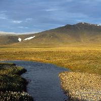 Pixwords η εικόνα με το νερό, τη φύση, το βουνό, κίτρινο, πεδίο, χιόνι, ποτάμι Alexander Gruzdev (Gruzdevar)