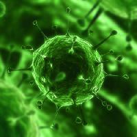 Pixwords η εικόνα με βακτήρια, ιούς, έντομα, ασθένεια, κύτταρο Sebastian Kaulitzki - Dreamstime