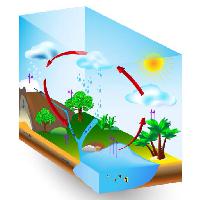 Pixwords η εικόνα με το νερό, τον ήλιο, τα δέντρα, λίμνη, δέντρο, σύννεφα, βροχή Designua